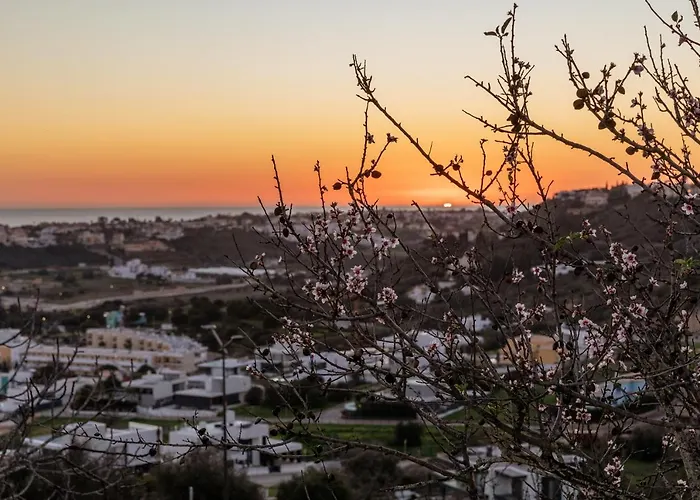 Sunset On The Sea